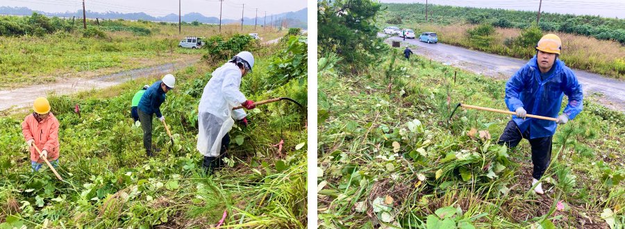 ＜刈り取った草はその場に広げることで防草や斜面の浸食を防止し、やがて肥料になります＞